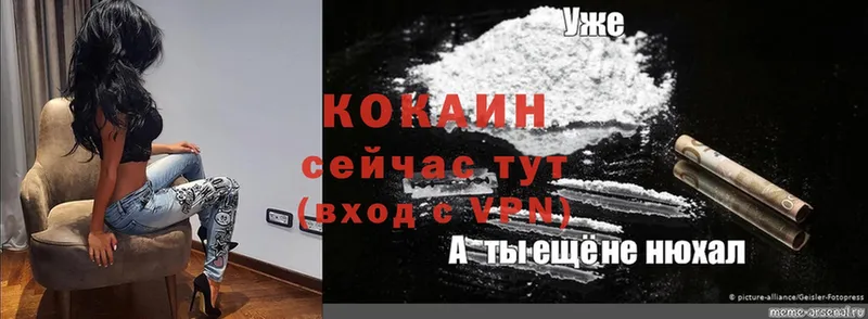 купить наркотик  Венёв  OMG зеркало  Cocaine FishScale 